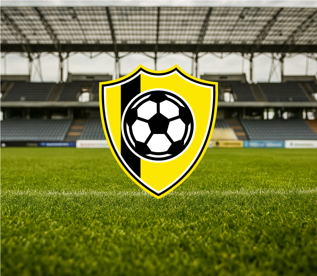 Pictogramme de l'histoire du FC Stade nyonnais